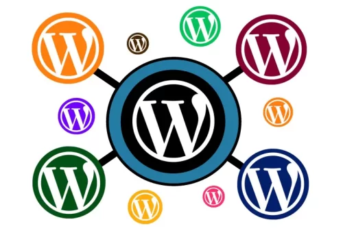 oz-digiral-banner-wordpress